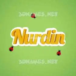nurdin in Ladybugs style - 3D name wallpaper