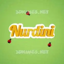 nurdini in Ladybugs style - 3D name wallpaper