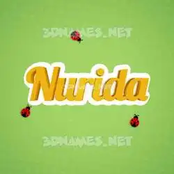 nurida in Ladybugs style - 3D name wallpaper