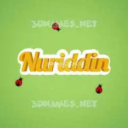 nuriddin in Ladybugs style - 3D name wallpaper