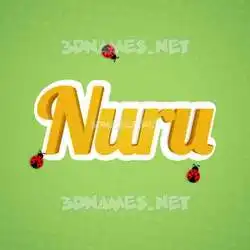 nuru in Ladybugs style - 3D name wallpaper