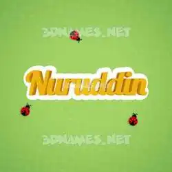 nuruddin in Ladybugs style - 3D name wallpaper