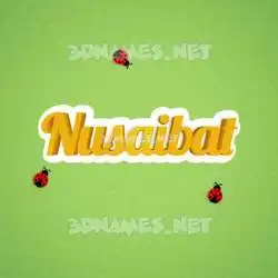 nusaibat in Ladybugs style - 3D name wallpaper