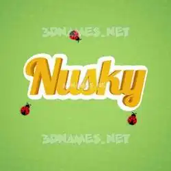 nusky in Ladybugs style - 3D name wallpaper