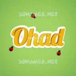 ohad in Ladybugs style - 3D name wallpaper