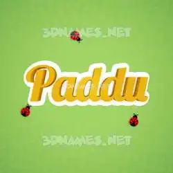 paddu in Ladybugs style - 3D name wallpaper
