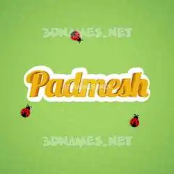 padmesh in Ladybugs style - 3D name wallpaper