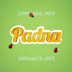 padna in Ladybugs style - 3D name wallpaper