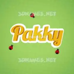 pakky in Ladybugs style - 3D name wallpaper