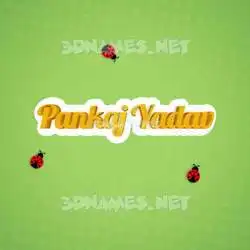 pankaj yadav in Ladybugs style - 3D name wallpaper