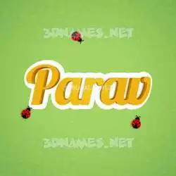 parav in Ladybugs style - 3D name wallpaper