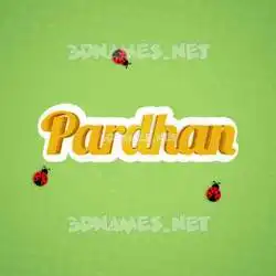pardhan in Ladybugs style - 3D name wallpaper