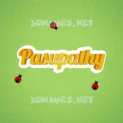 pasupathy in Ladybugs style - 3D name wallpaper