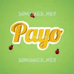 payo in Ladybugs style - 3D name wallpaper