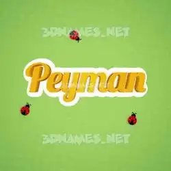 peyman in Ladybugs style - 3D name wallpaper