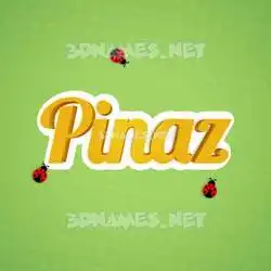 pinaz in Ladybugs style - 3D name wallpaper