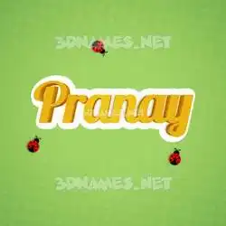 pranay in Ladybugs style - 3D name wallpaper