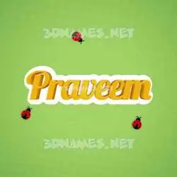 praveem in Ladybugs style - 3D name wallpaper