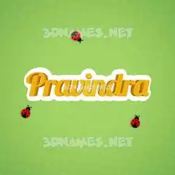 pravindra in Ladybugs style - 3D name wallpaper