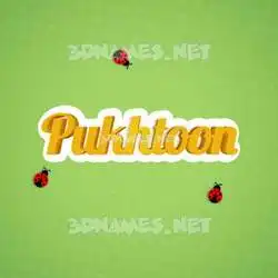 pukhtoon in Ladybugs style - 3D name wallpaper
