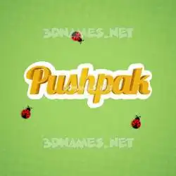 pushpak in Ladybugs style - 3D name wallpaper