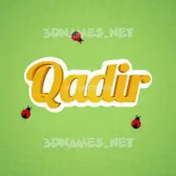 qadir in Ladybugs style - 3D name wallpaper