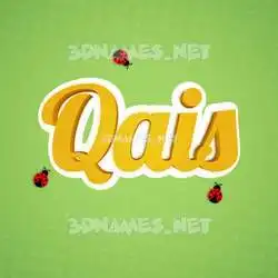 qais in Ladybugs style - 3D name wallpaper