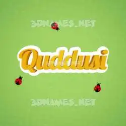 quddusi in Ladybugs style - 3D name wallpaper
