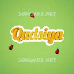qudsiya in Ladybugs style - 3D name wallpaper