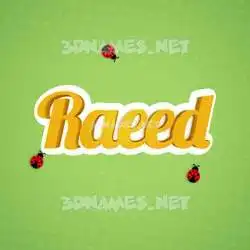 raeed in Ladybugs style - 3D name wallpaper