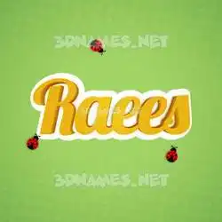 raees in Ladybugs style - 3D name wallpaper