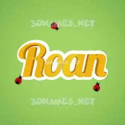 roan in Ladybugs style - 3D name wallpaper