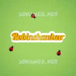 robinshankar in Ladybugs style - 3D name wallpaper