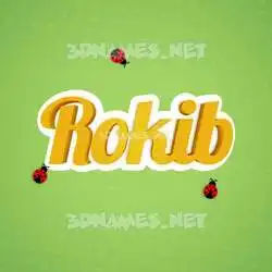 rokib in Ladybugs style - 3D name wallpaper