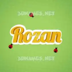rozan in Ladybugs style - 3D name wallpaper