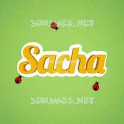 sacha in Ladybugs style - 3D name wallpaper