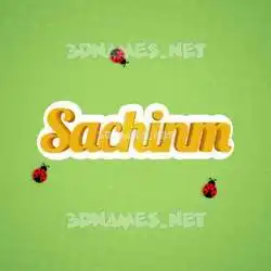 sachinm in Ladybugs style - 3D name wallpaper