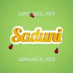 saduni in Ladybugs style - 3D name wallpaper