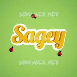 sagey in Ladybugs style - 3D name wallpaper