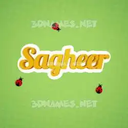 sagheer in Ladybugs style - 3D name wallpaper