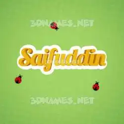 saifuddin in Ladybugs style - 3D name wallpaper