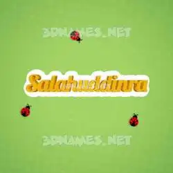 salahuddinra in Ladybugs style - 3D name wallpaper