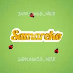 samareko in Ladybugs style - 3D name wallpaper