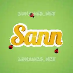 sann in Ladybugs style - 3D name wallpaper