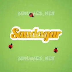saudagar in Ladybugs style - 3D name wallpaper