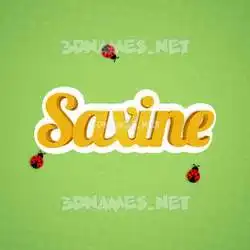 saxine in Ladybugs style - 3D name wallpaper