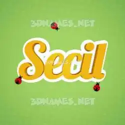 secil in Ladybugs style - 3D name wallpaper