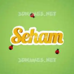 seham in Ladybugs style - 3D name wallpaper