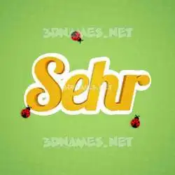 sehr in Ladybugs style - 3D name wallpaper
