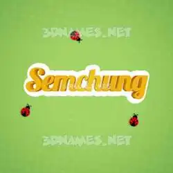 semchung in Ladybugs style - 3D name wallpaper